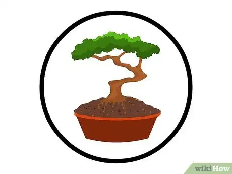 Image titled Repot Bonsai Trees Step 5