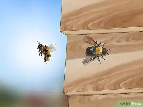 Image titled Get Rid of Bees Step 3