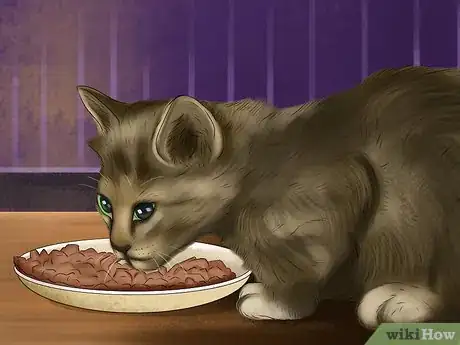 Image titled Feed Your Cat Natural Foods Step 4