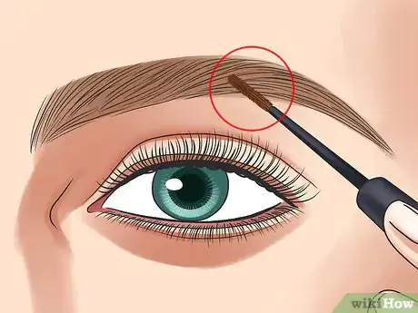 Image titled Choose Eyebrow Color Step 11