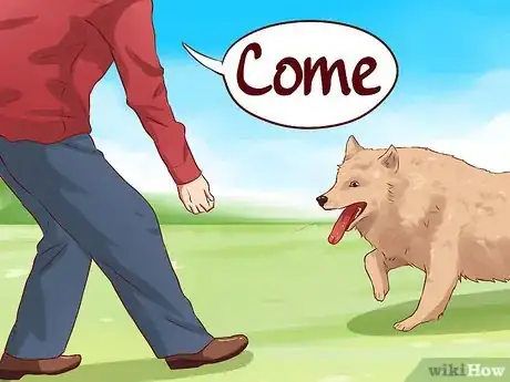 Image titled Teach Your Dog Basic Commands Step 17