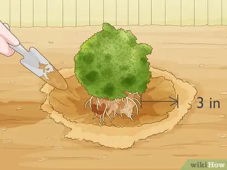 Image titled Send Plants Step 1