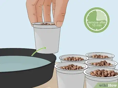 Image titled Start a Homemade Hydroponic Garden Step 5