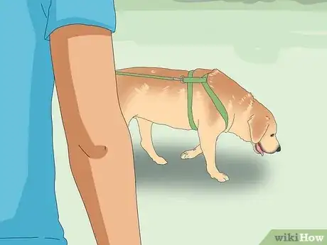 Image titled Teach Your Dog to Heel Step 15