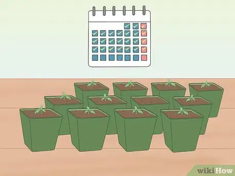 Image titled Grow Tomatoes from Seeds Step 16