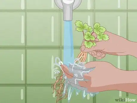 Image titled Grow Hydroponic Strawberries Step 13