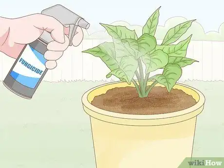 Image titled Get Rid of Mold on Houseplants Step 9