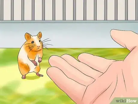 Image titled Pick up Your Hamster Step 5