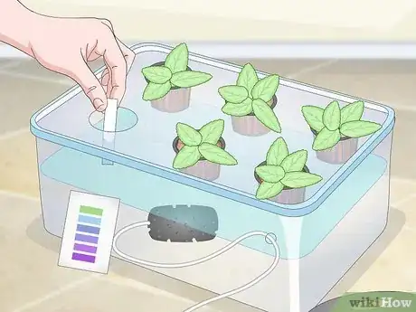 Image titled Start a Hydroponic Garden in Your Apartment Step 16