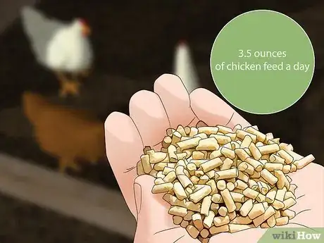 Image titled Start a Chicken Farm Business Step 13