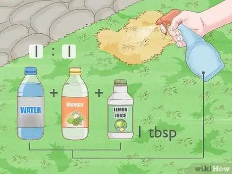 Image titled Get Rid of Urine Smell Outside Step 3