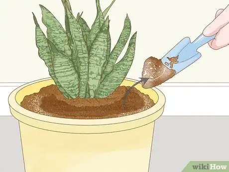 Image titled Get Rid of Mold on Houseplants Step 1