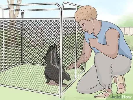 Image titled Take Care of a Pet Skunk Step 17