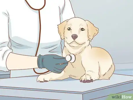 Image titled Treat Your Dog Step 4