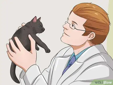 Image titled Raise a Kitten Step 13