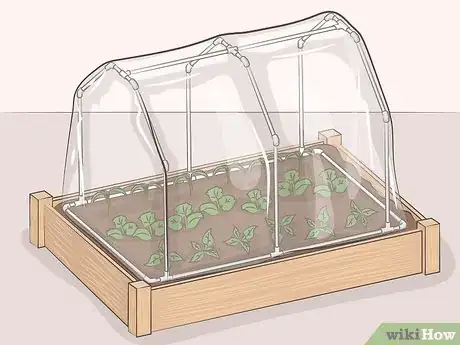 Image titled Make a Mini Greenhouse Step 14