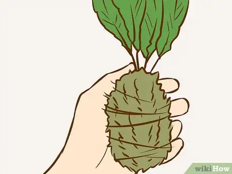 Image titled Make a Kokedama Step 5