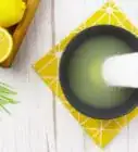 Make Lemon Salt