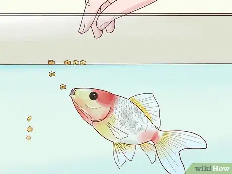 Image titled Prepare Fruits and Vegetables for Goldfish to Eat Step 10