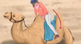 Ride a Camel