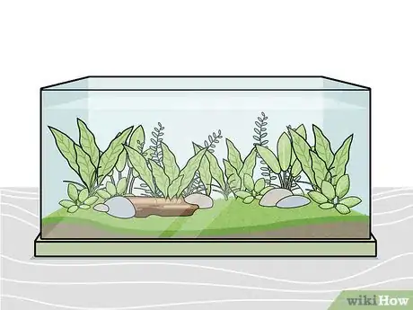 Image titled Grow Freshwater Aquarium Plants Step 5