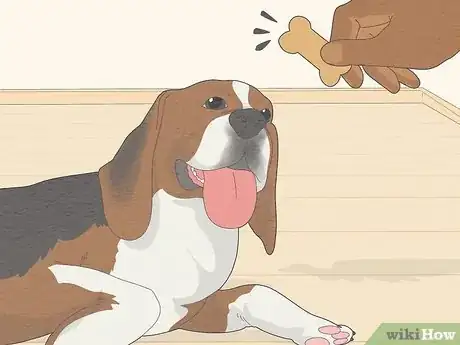 Image titled Train a Dog to Not Be Clingy Step 9