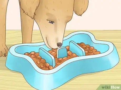 Image titled Increase Appetite in Dogs Step 5