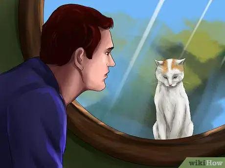 Image titled Take Care of a Turkish Angora Step 11