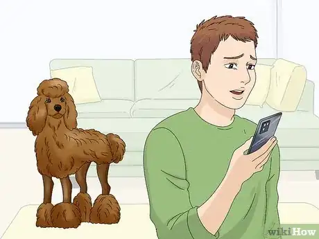 Image titled Identify a Poodle Step 12