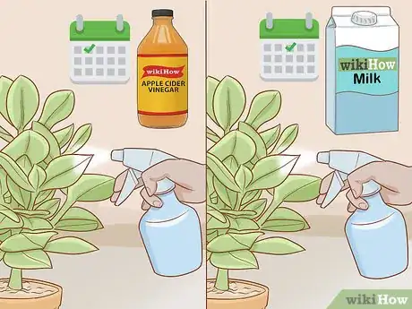 Image titled Get Rid of Powdery Mildew on Plants Step 7