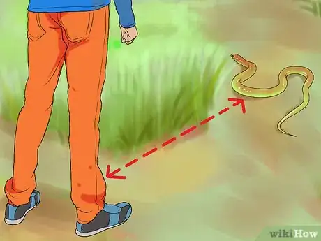 Image titled Handle Poisonous Snakes Step 13