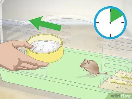 Image titled Give a Gerbil a Sand Bath Step 8