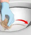 Clean a Ring in Toilet Bowl