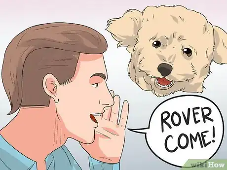 Image titled Train Your Dog to Not Run Away Step 3