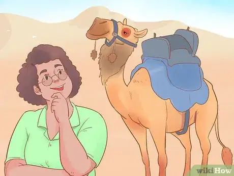 Image titled Buy a Camel Step 18