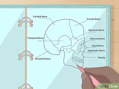 Image titled Study for Biology Step 4