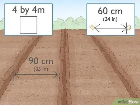 Image titled Grow Adlai Rice Step 2