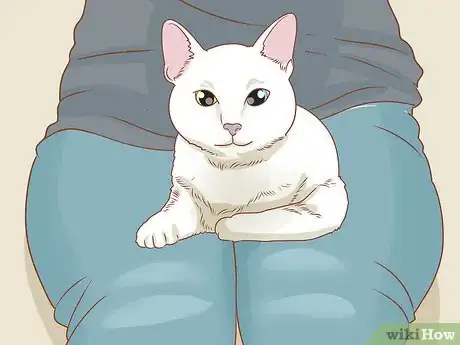 Image titled Trim Your Cat's Nails Step 5