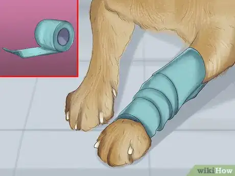 Image titled Stop a Dog from Bleeding Step 8