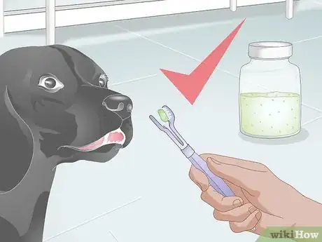 Image titled Make Dog Toothpaste Step 17