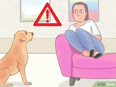 Image titled Know if Your Dog Likes You the Best Step 3