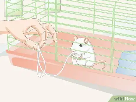 Image titled Socialize Pet Rats Step 3