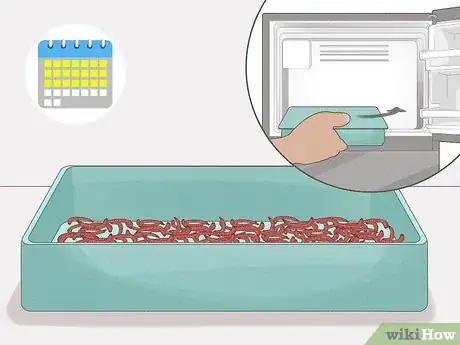 Image titled Grow Bloodworms Step 13