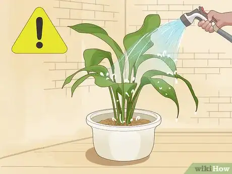 Image titled Save an Overwatered Plant Step 6