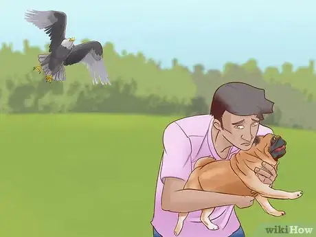 Image titled Protect Small Dogs from Birds of Prey Step 9