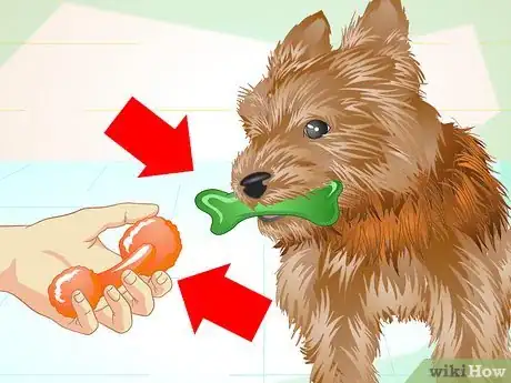 Image titled Keep Your Yorkie's Teeth Clean Step 16