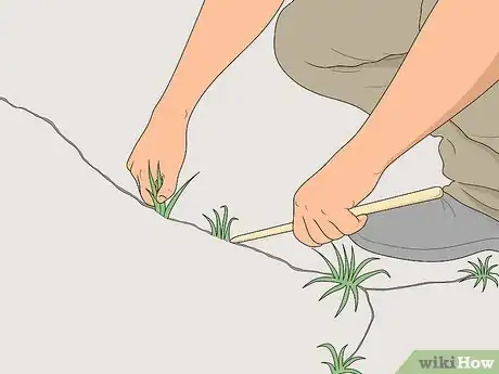 Image titled Remove Weeds from Cracks Step 9