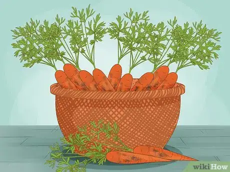 Image titled Grow Carrots Indoors Step 14