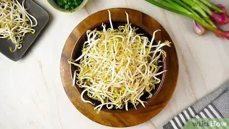 Image titled Cook Bean Sprouts Step 1