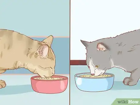 Image titled Peacefully Feed Cats in Multi‐Cat Households Step 8